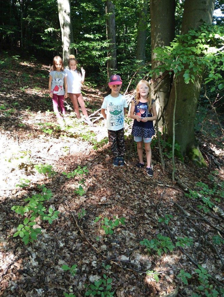 Nejnovější fotografie